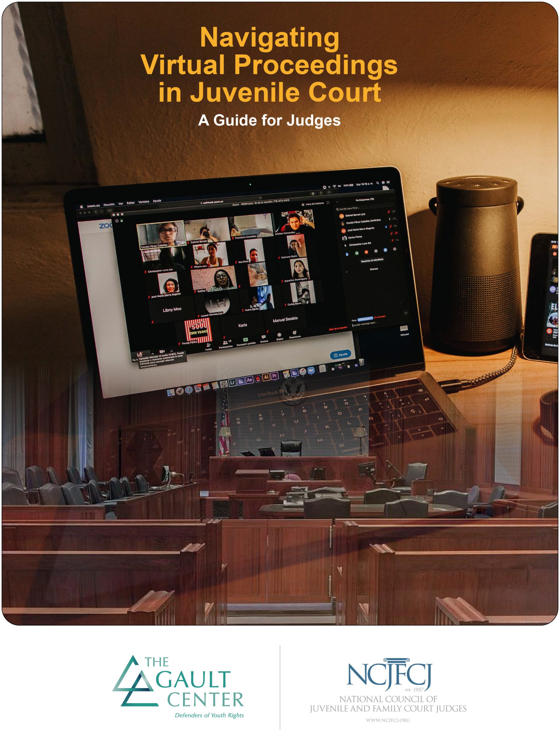 Navigating Virtual Proceedings in Juvenile Court: A Guide for Judges ...